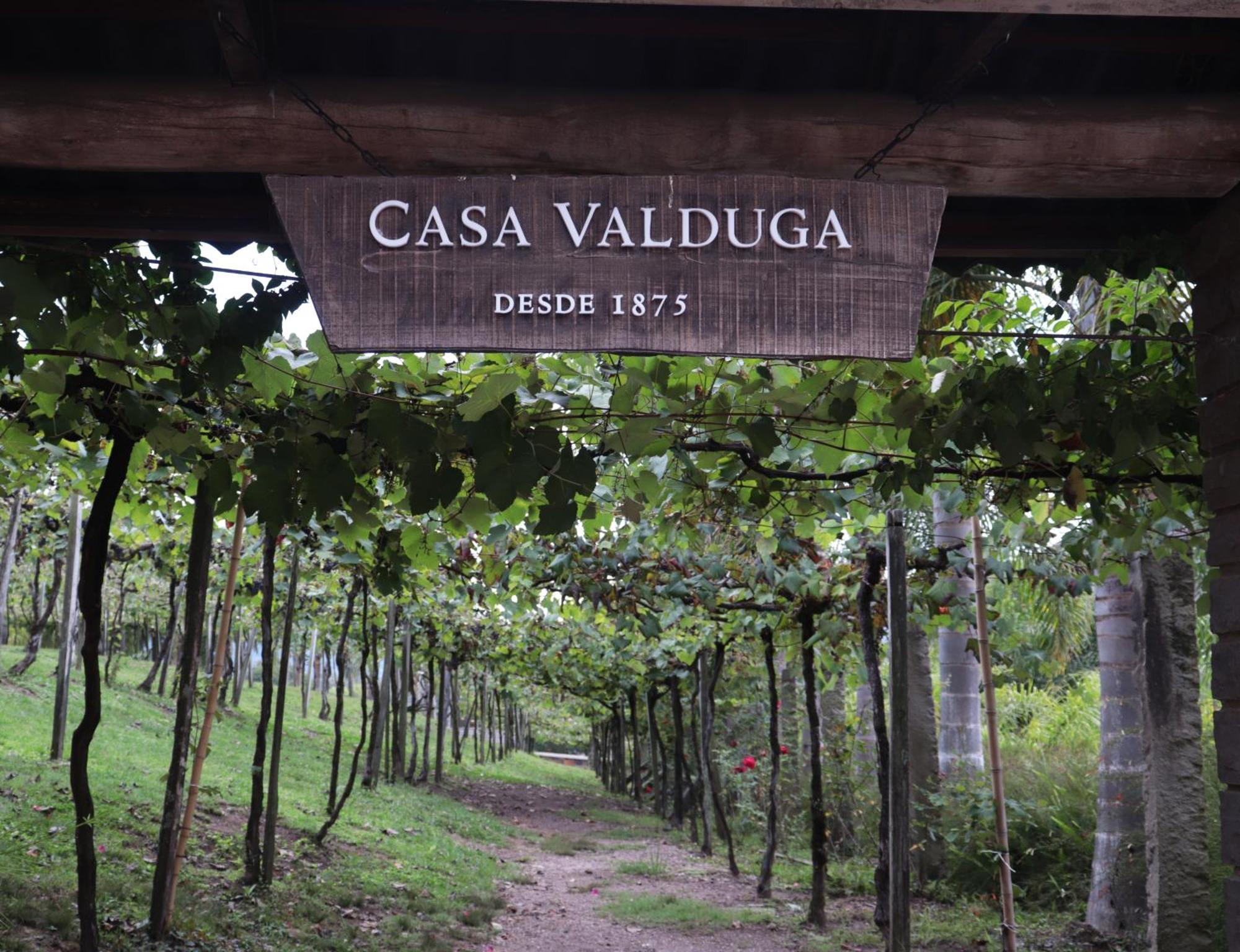 Casa Valduga Pousada Boutique Bento Gonçalves المظهر الخارجي الصورة
